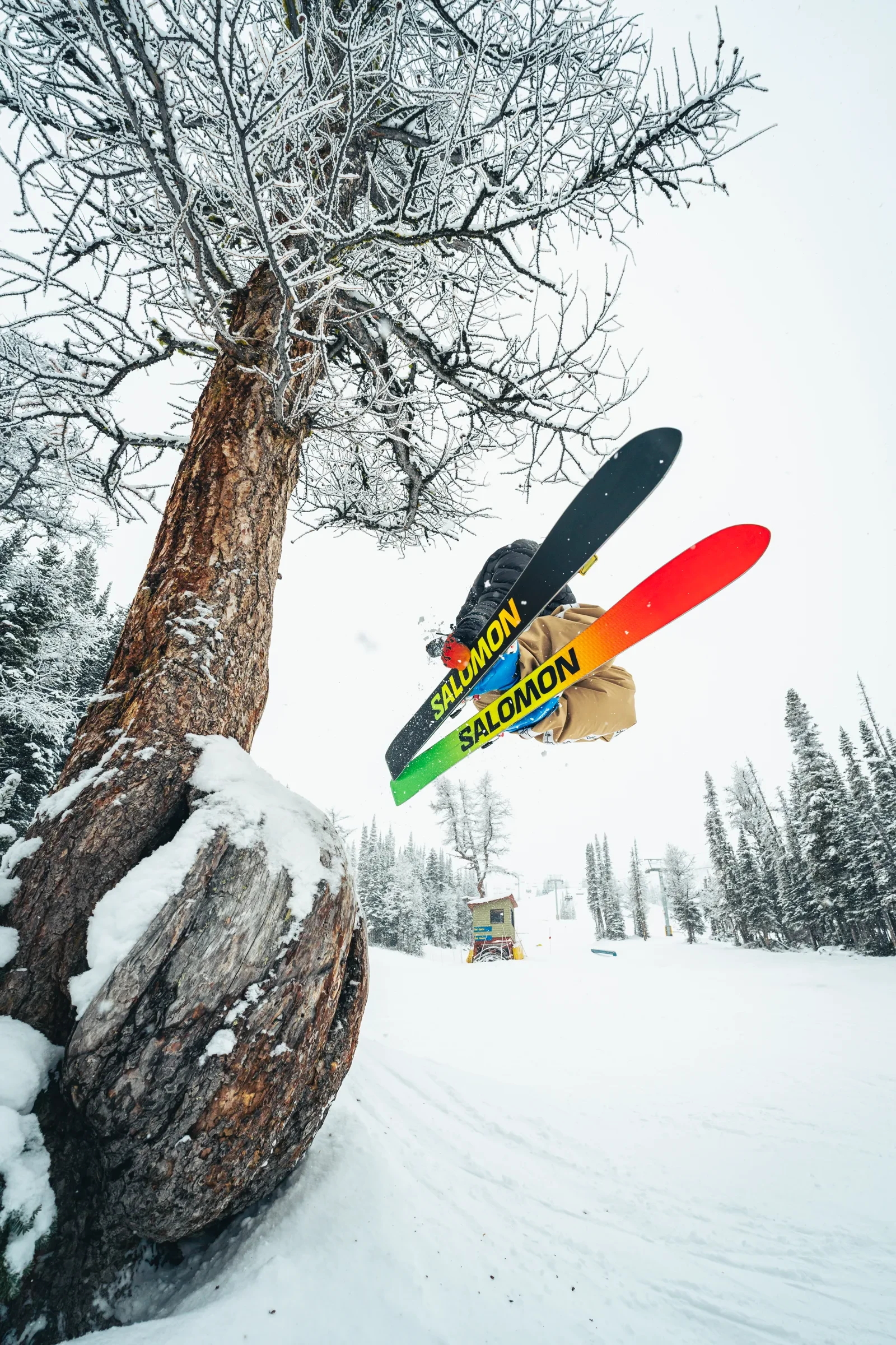A skier jumping beside a snow-covered tree