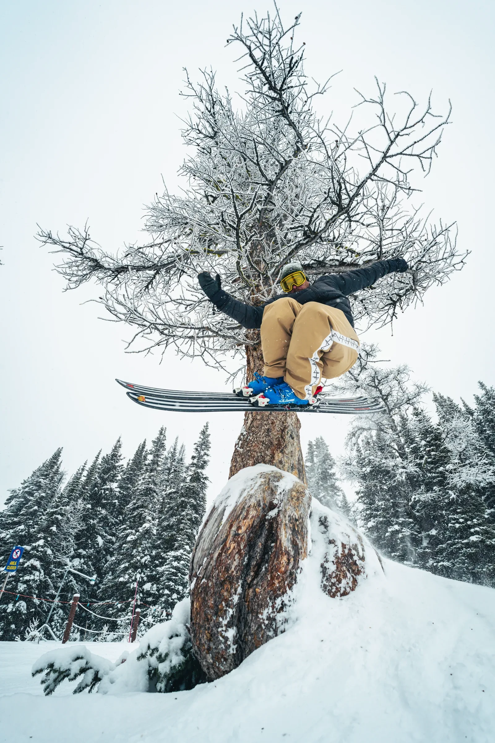 A skier clearing a tree in deep snow