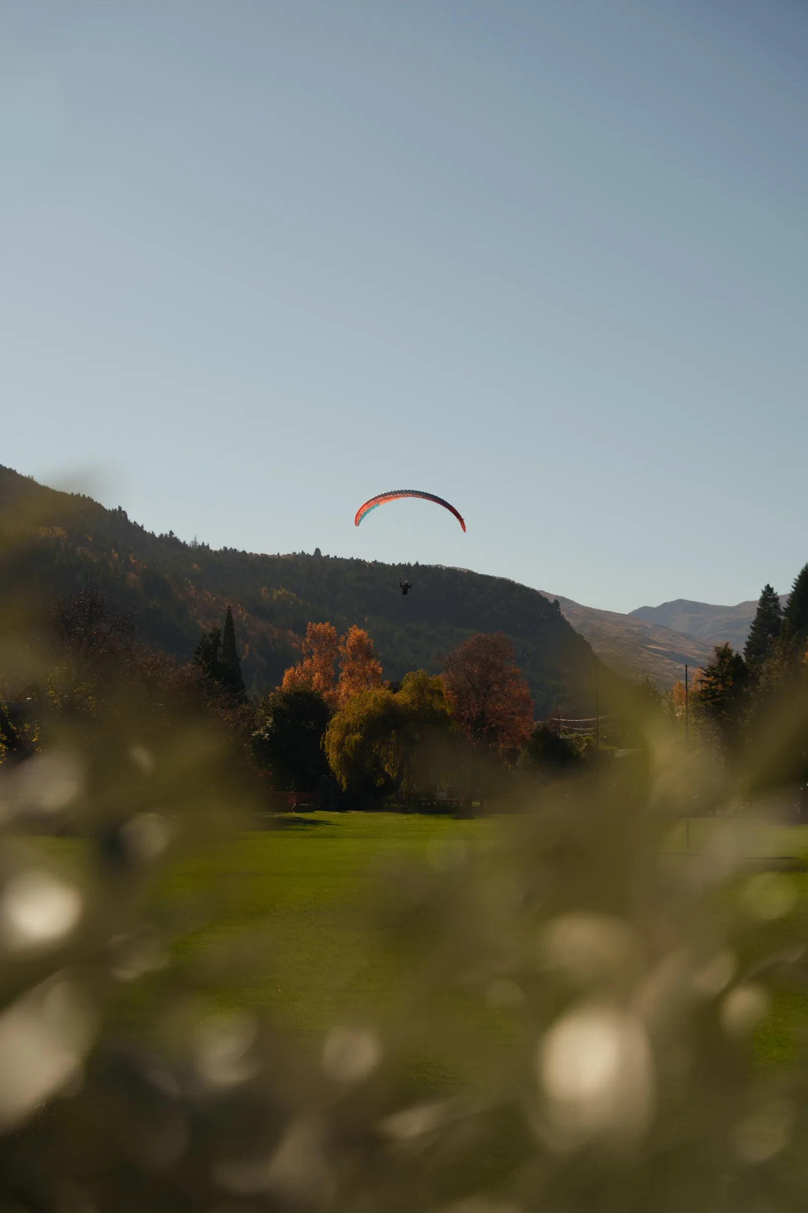 A paraglider descending beyond the roadside