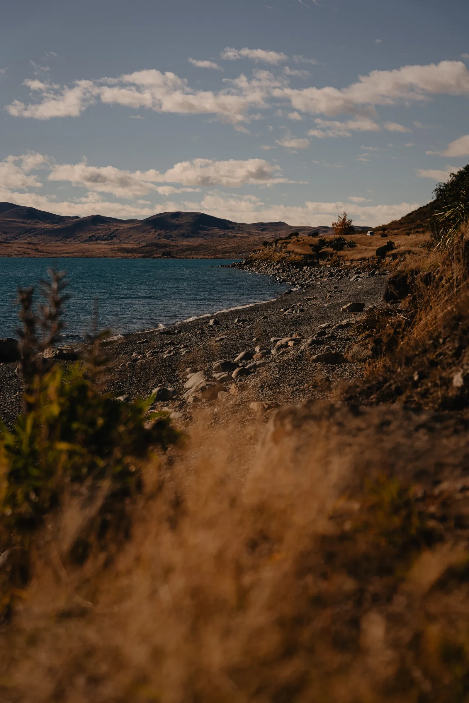 A narrow trail leading toward a mountain lake