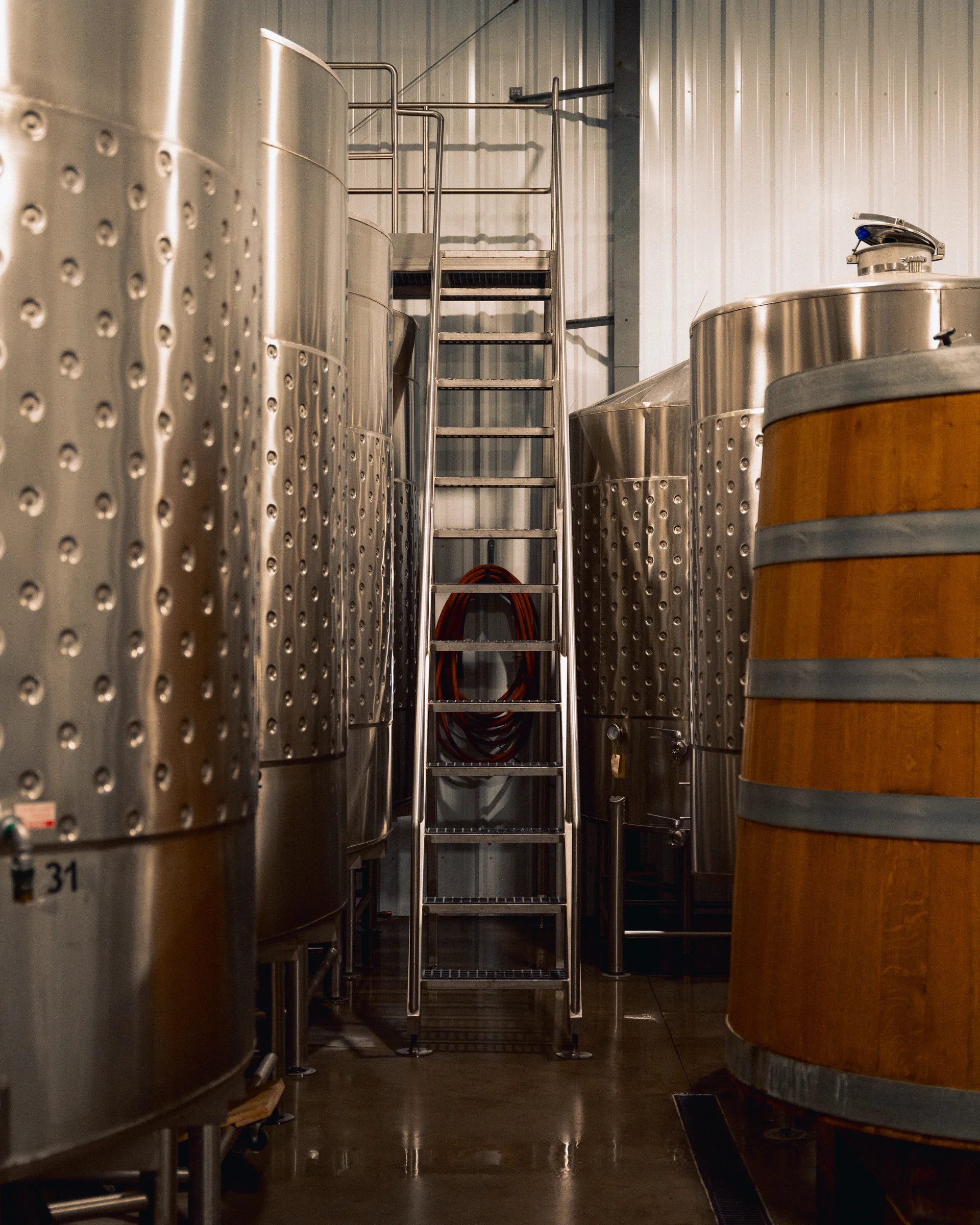 A ladder framed by winery tanks and a wooden vessel