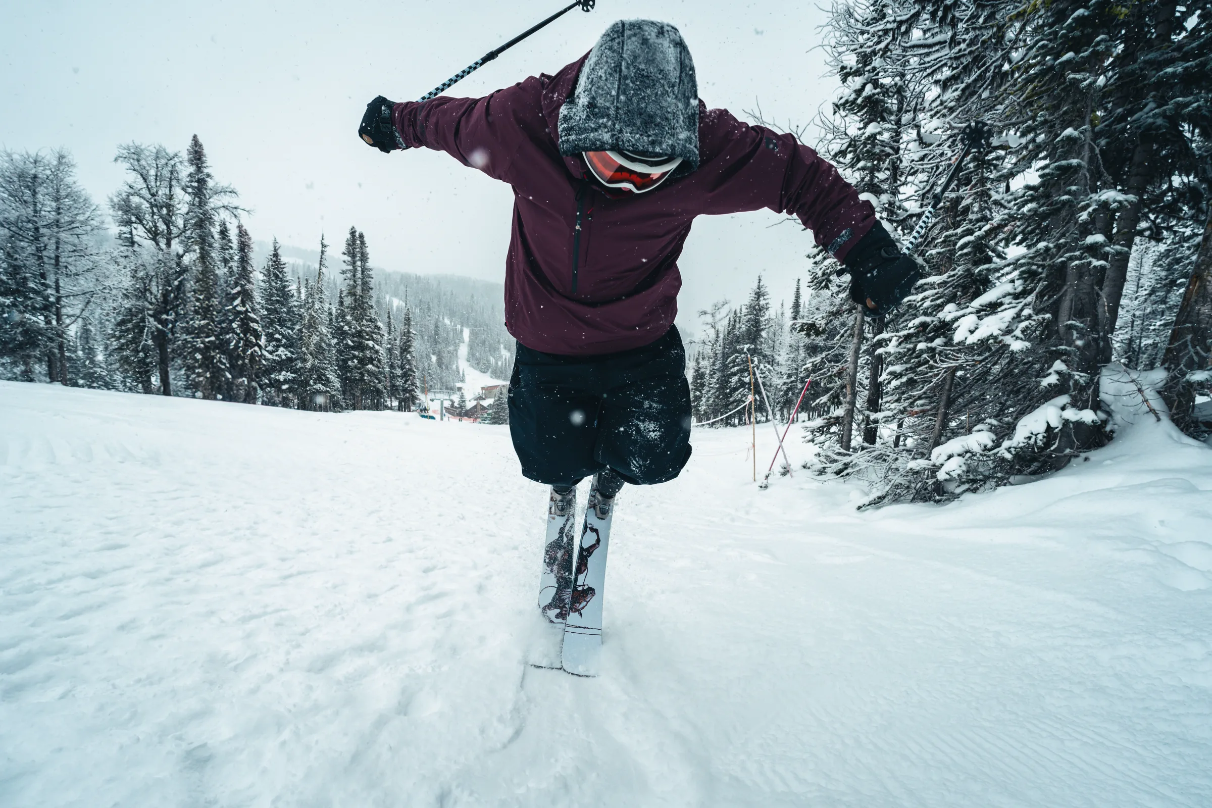 A skier moving toward the camera on a forest trail